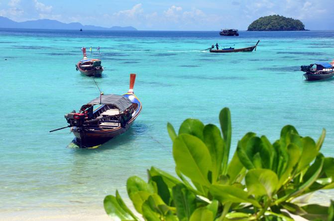 奥莉的夏威夷之旅