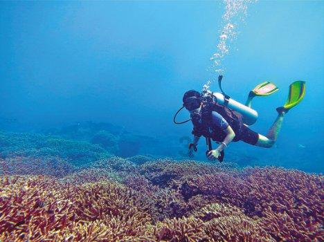 周黑鸭CEO张宇晨现身上海虹桥站:想抓住春运这波人流